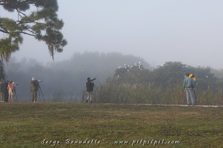 2009-01-06 08-09-39__MG_0447.JPG